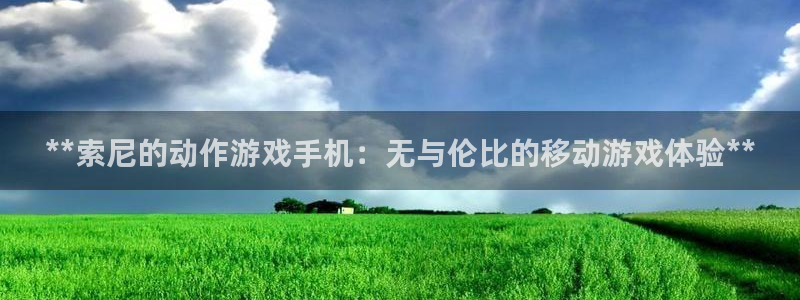 东升国际测速